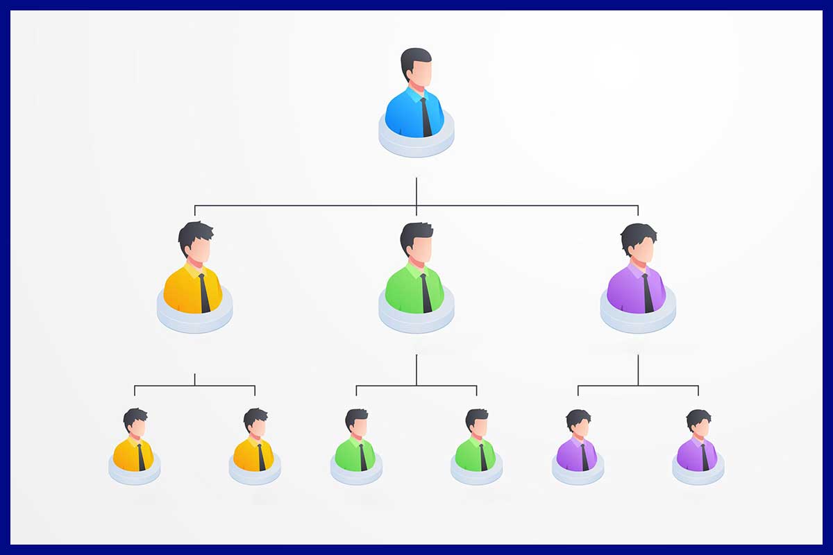 structure of organizaion