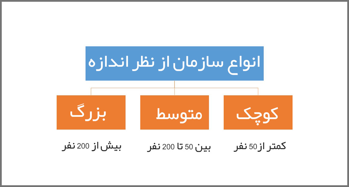 انواع سازمان از نظر اندازه