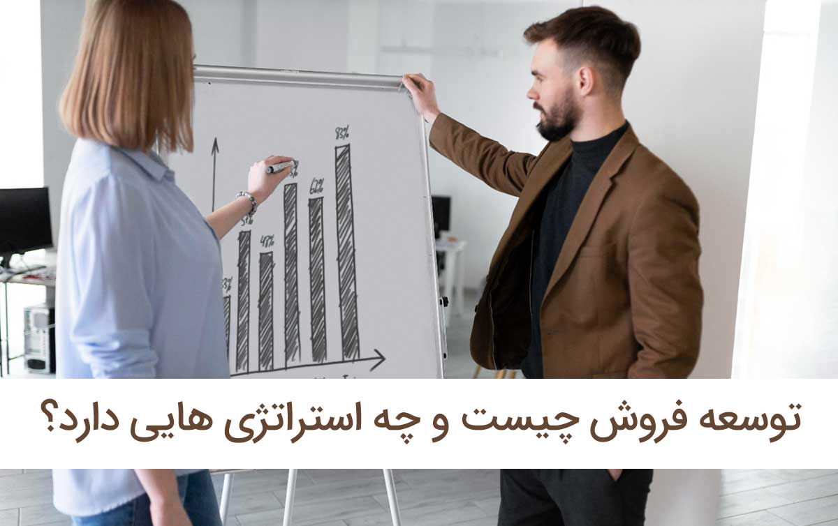 توسعه فروش چیست